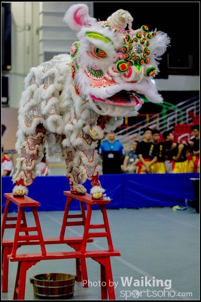 2016-07-03 Lion Dance 0174