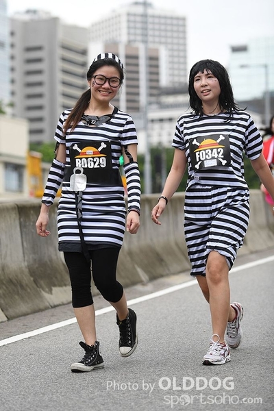One Piece (480)