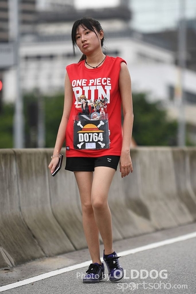 One Piece (493)