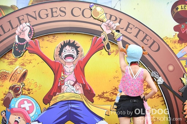 One Piece (833)