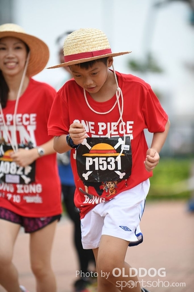 One Piece (930)