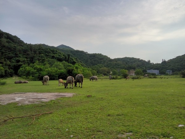 sportsoho運動版圖