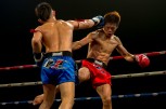 sportsoho運動版圖