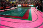 sportsoho運動版圖