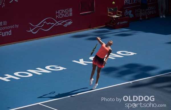 Tennis D2 (1)
