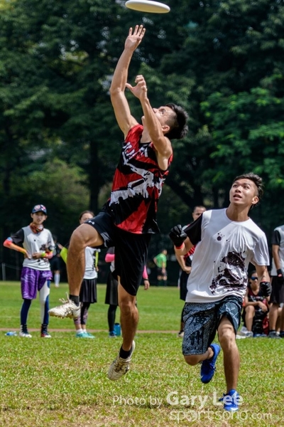 LHM_7055