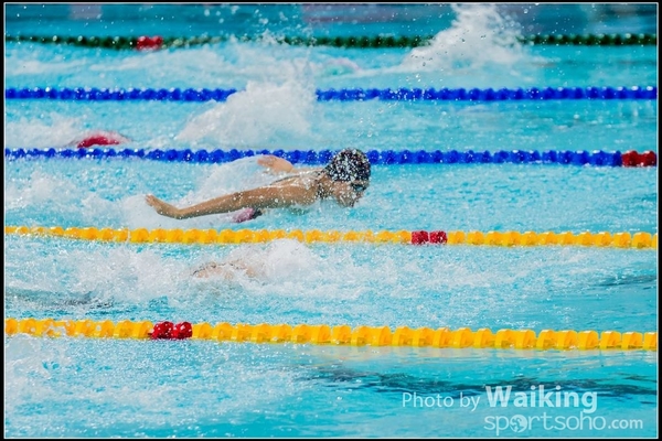 2016-10-30 Swimming 0338