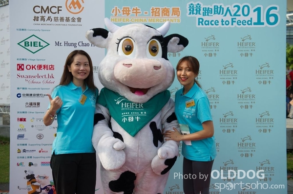 Heifer (41)