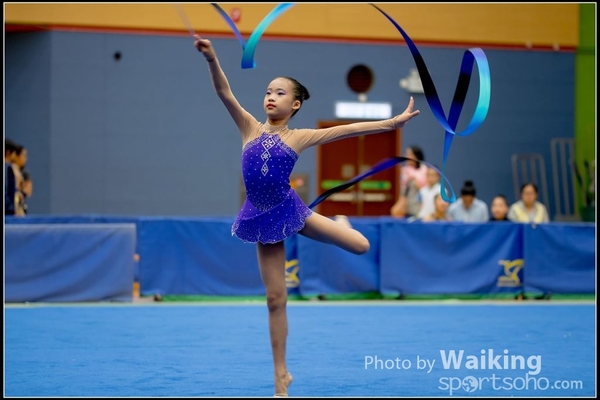 2016-11-20 Ribbon 0004