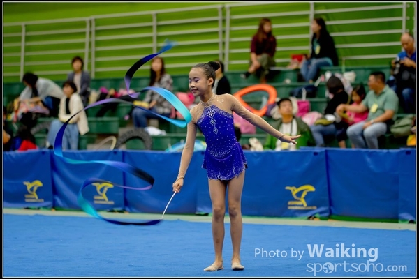 2016-11-20 Ribbon 0013