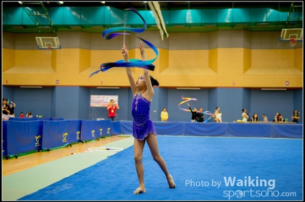 2016-11-20 Ribbon 0015