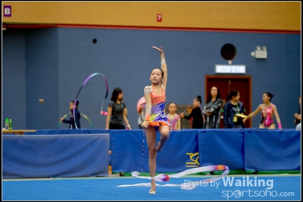2016-11-20 Ribbon 0018