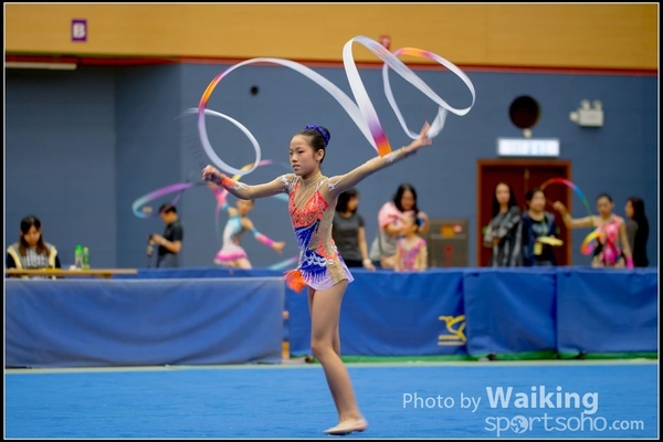 2016-11-20 Ribbon 0021