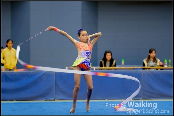 2016-11-20 Ribbon 0029