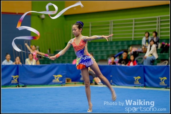 2016-11-20 Ribbon 0034