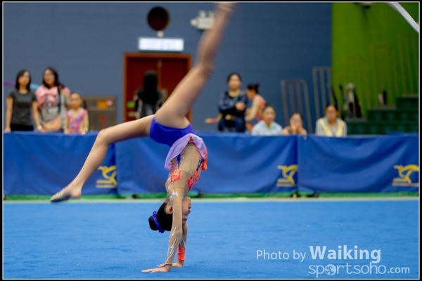 2016-11-20 Ribbon 0035