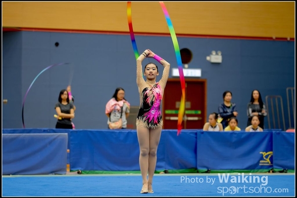 2016-11-20 Ribbon 0041