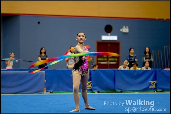 2016-11-20 Ribbon 0044