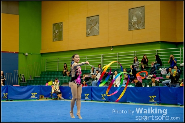 2016-11-20 Ribbon 0048