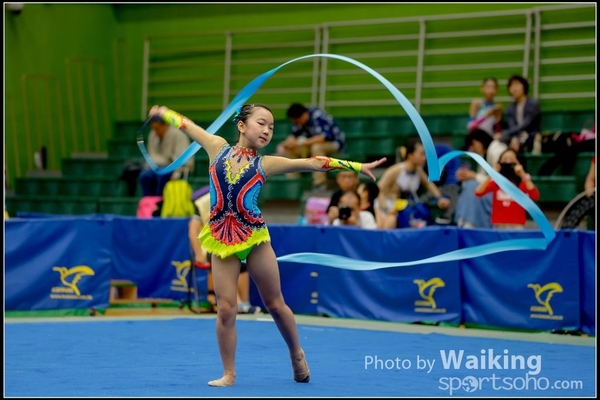 2016-11-20 Ribbon 0182