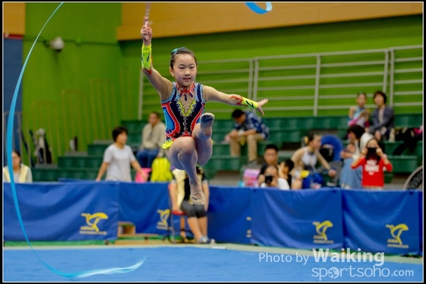 2016-11-20 Ribbon 0183
