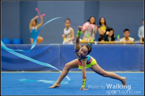 2016-11-20 Ribbon 0187