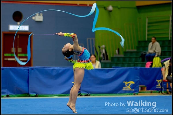 2016-11-20 Ribbon 0188