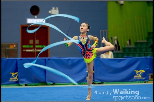 2016-11-20 Ribbon 0189