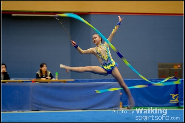 2016-11-20 Ribbon 0197