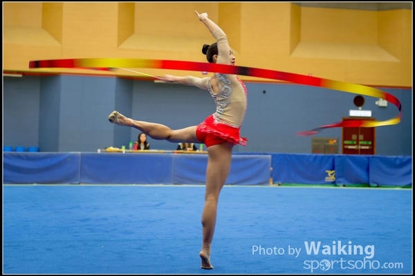 2016-11-20 Ribbon 0218