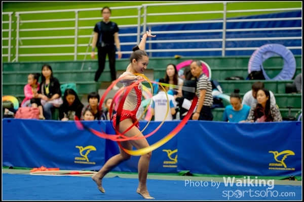 2016-11-20 Ribbon 0222