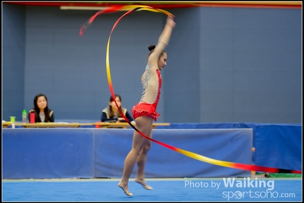 2016-11-20 Ribbon 0227