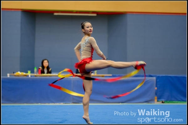 2016-11-20 Ribbon 0230