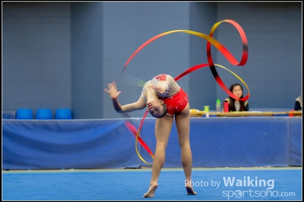 2016-11-20 Ribbon 0232