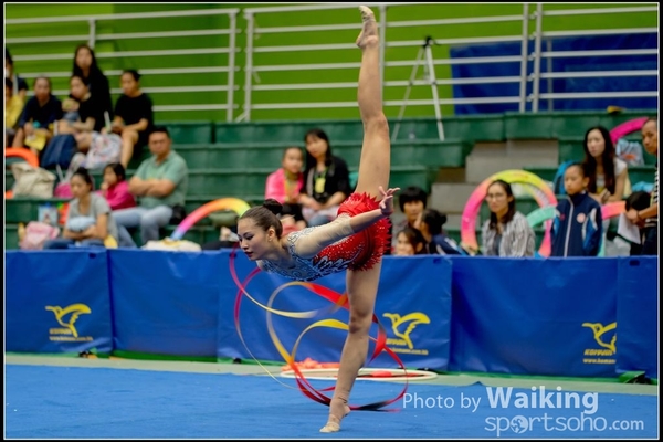 2016-11-20 Ribbon 0235