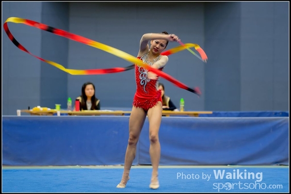 2016-11-20 Ribbon 0236