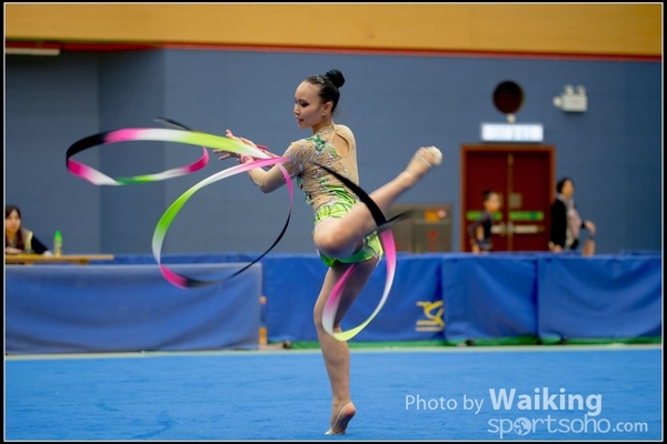 2016-11-20 Ribbon 0239