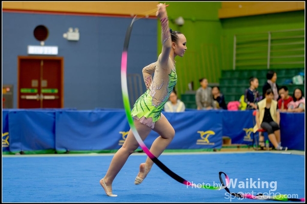 2016-11-20 Ribbon 0241