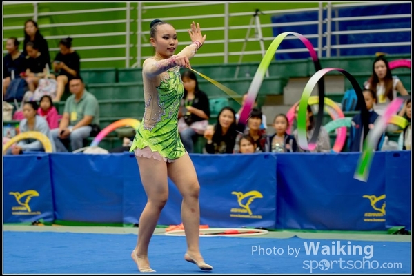 2016-11-20 Ribbon 0244