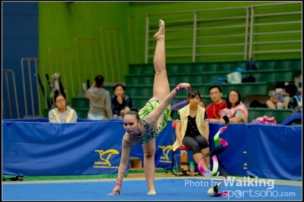 2016-11-20 Ribbon 0245