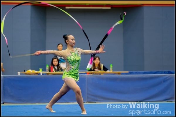 2016-11-20 Ribbon 0255