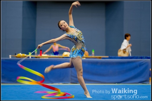 2016-11-20 Ribbon 0265