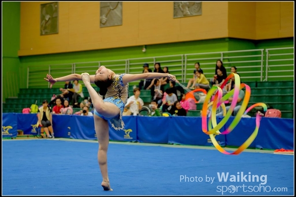 2016-11-20 Ribbon 0269