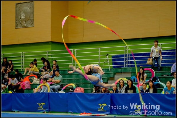 2016-11-20 Ribbon 0271