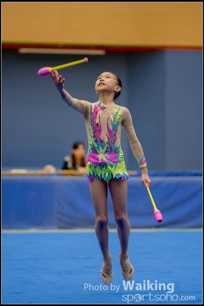2016-11-20 Sticks 0030