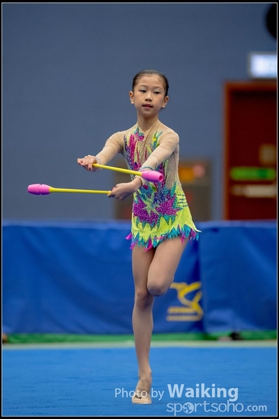 2016-11-20 Sticks 0033
