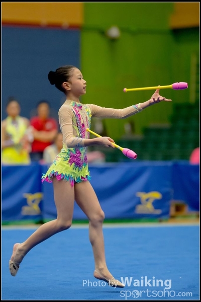 2016-11-20 Sticks 0036