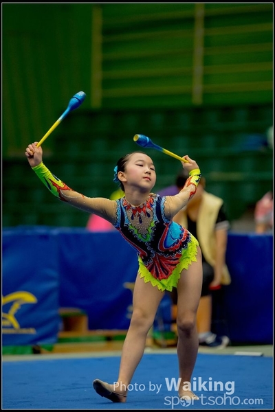 2016-11-20 Sticks 0512