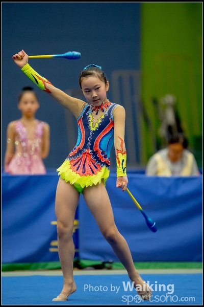 2016-11-20 Sticks 0514
