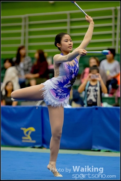 2016-11-20 Sticks 0528